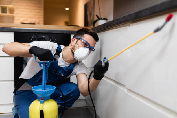 Best Best Pest Control Companies  in Middletown, KY