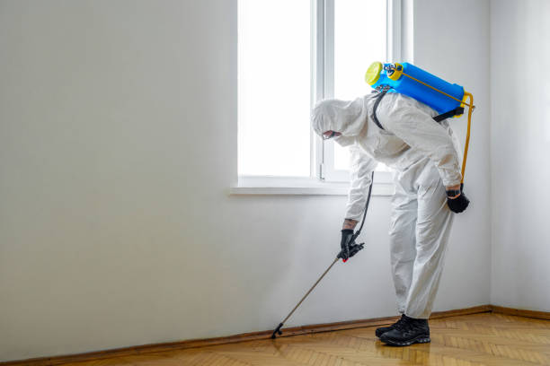 Trusted Middletown, KY Pest Control Experts