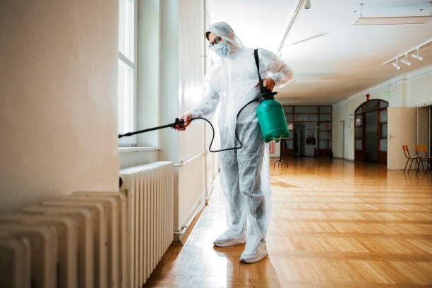 Best Affordable Pest Control Services  in Middletown, KY