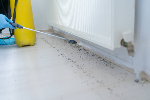 Best Emergency Pest Control  in Middletown, KY