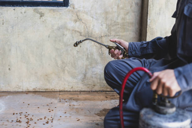 Best Exterminator Services  in Middletown, KY