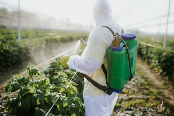 Best Best Pest Control Companies  in Middletown, KY